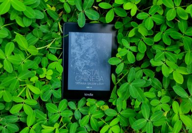 Vista Chinesa |Literatura e desconforto